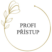 Profi přístup